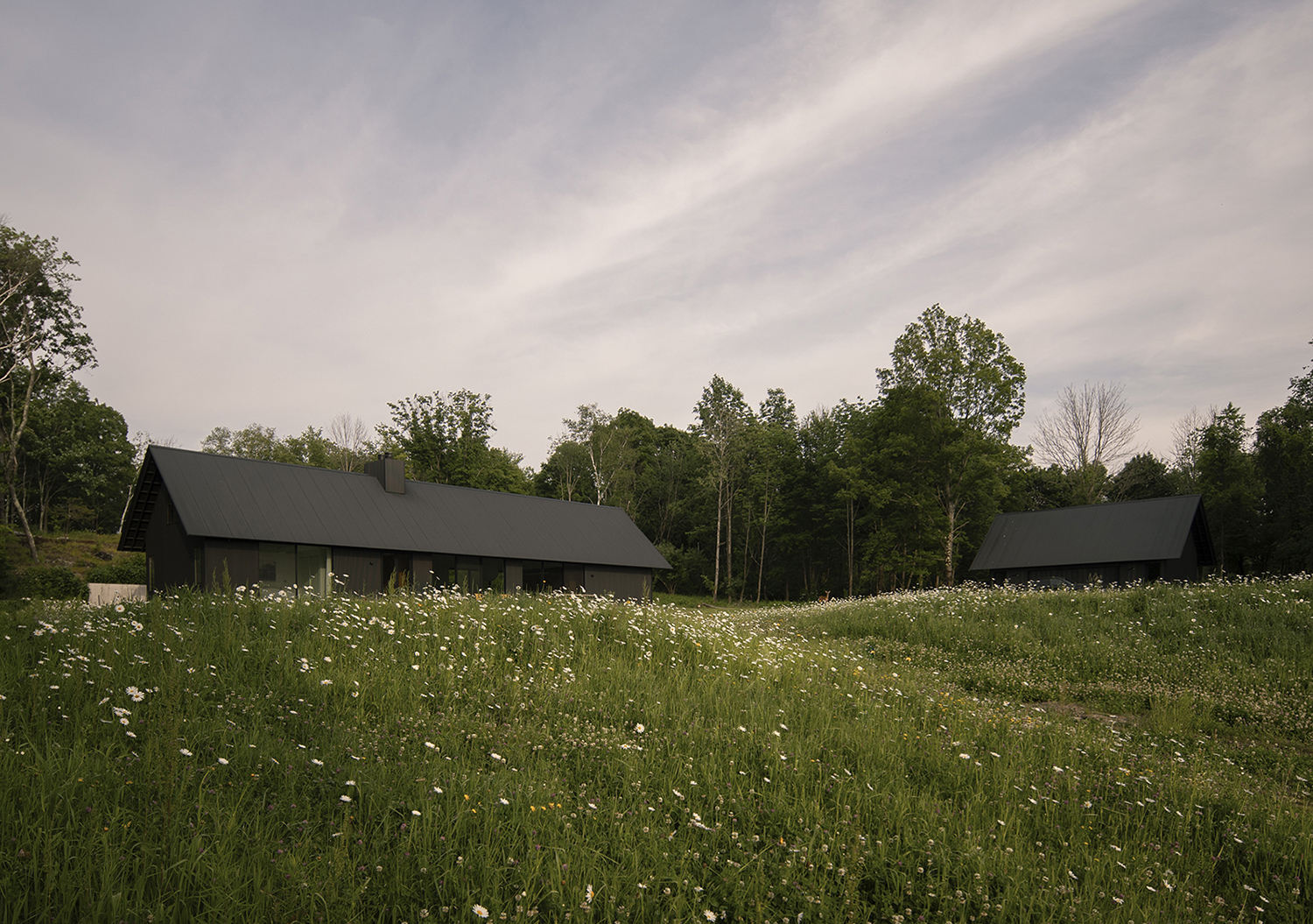 House in a Meadow