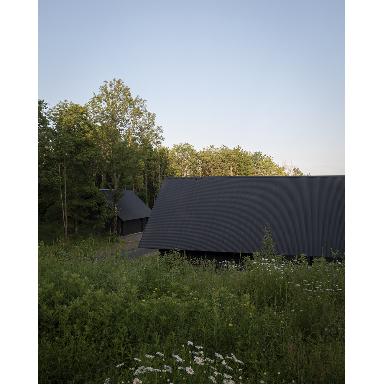 House in a Meadow