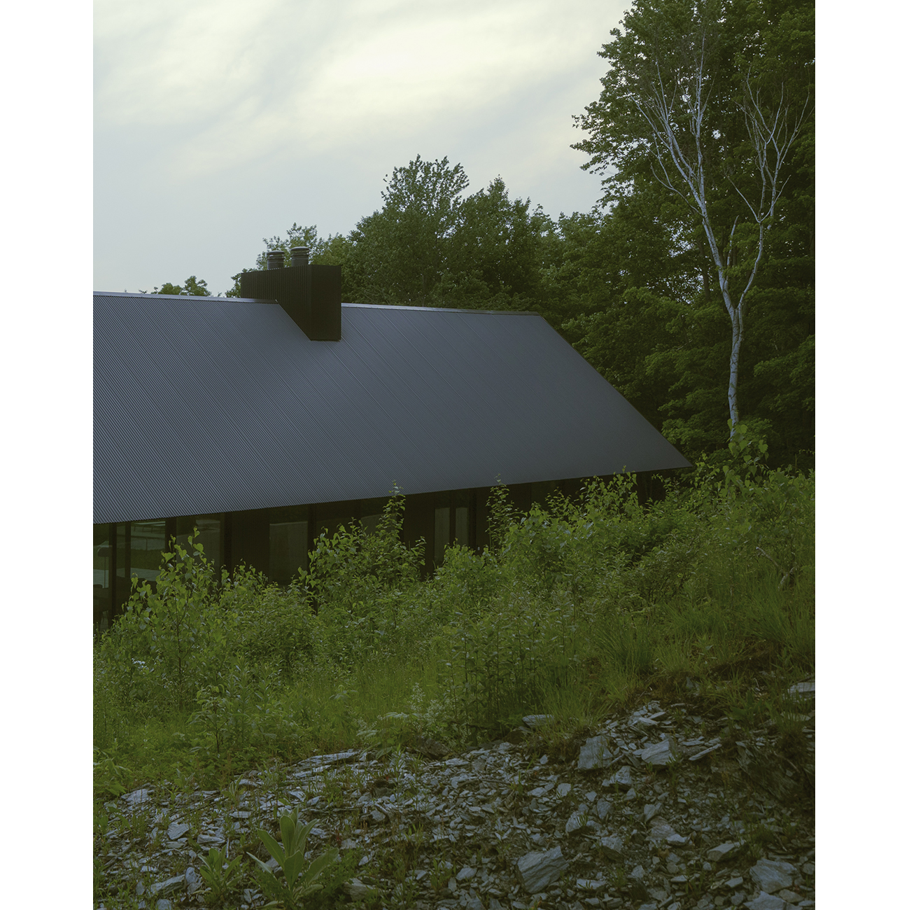 House in a Meadow